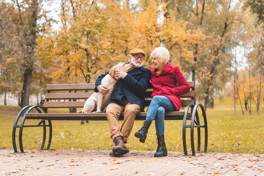 Senior couple with a dog on a bench in the park in autumn