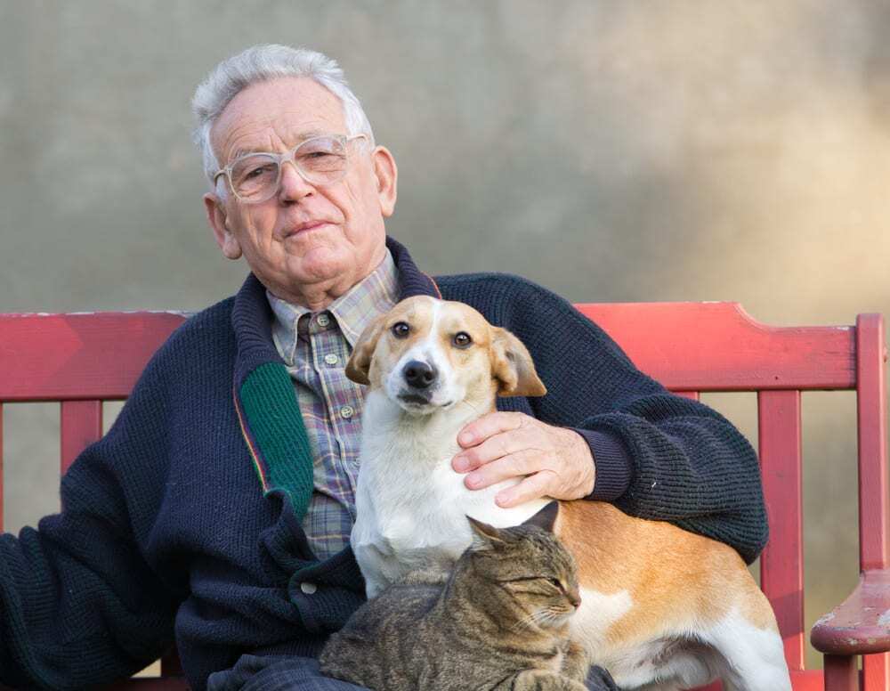 Senior Man Sitting on Bench with a Dog and Cat in His Lap
